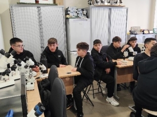 Εκπαιδευτική Εξόρμηση στο Λιβάδι Ακρωτηρίου: Ένα Ταξίδι Γνώσης και Περιβαλλοντικής Ευαισθητοποίησης