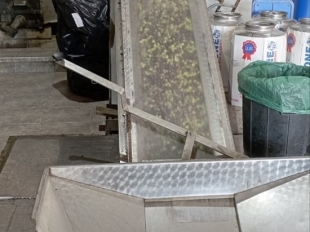 Νέοι Δημοσιογράφοι για το Περιβάλλον